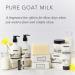 Beekman 1802 Goat Milk Shampoo 8.9 oz - Nourishes & Revitalizes Dry Hair - Color Safe - Cruelty Free - Fragrance Free - Buy Online on GoSupps.com