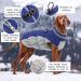 Kuoser Waterproof Dog Coat - Winter Warm Jacket for Small & Medium Dogs | Cozy Fleece Lined Reflective Vest in XXL Blue - Buy Online on GoSupps.com