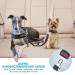 Slowton 2-in-1 Dog Car Seat Belt - Durable Adjustable Tangled-Free Elastic Safety Harness for Small & Medium Dogs - Reflective Design for Safe Travels - Buy Online on GoSupps.com