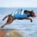 Wallpage Dog Swimming Vest - Adjustable Pet Bathing Suit & Lifesaver for Dogs (Small Blue) - Perfect Fit for Safe Water Fun - Buy Online on GoSupps.com