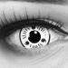 Meralens 1 pair of colored anime manga contact lenses without strength with free contact lens container - Sharingan White in White Black Perfect for here for here Halloween 12 month lenses 14mm