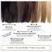 FidiTia Hair Shader 12G - EU Made Hair Concealer Powder for Sealing & Concealing - Light Brown - 1 Pack - Buy Online on GoSupps.com