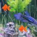 Balacoo 10 Pcs Realistic Artificial Goldfish - Floating Tropical Fish Decor for Aquariums | Mini Animal Toys - Buy Online on GoSupps.com
