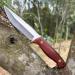 Coosnug D2 Sharp Survival Knife with Leather Bag - Ergonomic Rosewood Handle for Outdoor Camping - Buy Online on GoSupps.com
