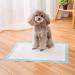 MXDZSW Disposable Underpads Incontinence Pads Bed Covers Puppy Training | Thick Super Absorbent Protection for Kids Adults Elderly | Liquid Urine Accidents 13''x18'' (100-Count) GND-100 - Buy Online on GoSupps.com