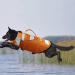 Wallpage Dog Pet Swimming Vest - Adjustable Lifesaver Bathing Suit for Small Medium & Large Dogs - Orange - Buy Online on GoSupps.com