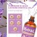 Premium Lavender Essential Oil - Therapeutic Grade Aromatherapy for Diffuser Bath Skin Care & More - 118ml (4oz - Buy Online on GoSupps.com