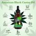 Jamaican Black Castor Oil Organic for Hair Growth Nourishes Eyelashes and Eyebrows Scalp Skin and Nail Care 60ml (1PCS) - Buy Online on GoSupps.com