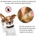 Easyult Tick Pliers & Splinter Tweezers Stainless Steel 2in1 for Humans Dogs & Children | Reliable Tick Removal Tools - Buy Online on GoSupps.com