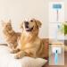 Wecute Self-Cleaning Pet Brush for Dogs & Cats | Effortless Hair Removal | Long & Short Haired Grooming Tool - Buy Online on GoSupps.com