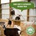 New Zealand Goat Milk Ghee - 8oz (227g) - Paleo & Keto Friendly | Non-GMO, Hormone & Antibiotic-Free, Gluten & Glyphosate Residue Free - Buy Online on GoSupps.com