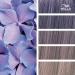 Wella Professionals Color Fresh Create Future Nevers Green 60ml - Vibrant Hair Color & International Shipping - Buy Online on GoSupps.com