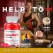 Lifeline Keto ACV Pro Gummies - Advanced Keto + Apple Cider Vinegar for Weight Management (60 Gummies) - Buy Online on GoSupps.com