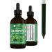 360 Nutrition Liquid Chlorophyll Drops with Peppermint Oil | Natural Detox, Radiant Skin, Cleansing and Digestion Support | 60 Servings Per Container