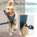 Rabbitgoo Medium Dog Harness - No Pull Control for Large Dogs | Breathable & Safe with Reflex Stripes - Dark Green (1 Pack) - Buy Online on GoSupps.com