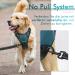 Rabbitgoo Dog Harness for Medium & Large Dogs - No Pull Breathable Control Harness with Reflective Stripes - Dark Green XL (1 Pack) - Buy Online on GoSupps.com