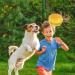 Amzeeniu 14 Pcs Dog Toys Set - Durable Rope Balls & Chew Toys for Small Medium & Large Dogs - Interactive Training & Teething Play - Buy Online on GoSupps.com