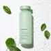 Innisfree Green Tea Balancing Toner - Soothe & Hydrate for Balanced Skin Hydration - Buy Online on GoSupps.com