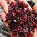 Crystal 100g Natural Rough rundum Stones and Minerals Reiki Crystal Ruby raw Gemstone Specimen for Making Jewelry (Size : 500g) - Buy Online on GoSupps.com