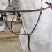 John Whitaker Lynton Running Martingale Havana Full - Buy Online on GoSupps.com