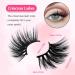 7 Pairs of Half Eyelashes Cat Eye 12 mm Short Cat's Eye Artificial Eyelashes Natural Look 1/2 Corner False Eyelashes Set 3/4 Corner Eyelashes Reusable Lightweight Makeup Eyelashes (1-33) 7P-HF-1-33 - Buy Online on GoSupps.com