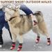 Double-Sided Anti-Slip Dog Socks - Adjustable Indoor Shoes for Pet Paw Protection 2 Pairs Red & Black - Traction Control for Hardwood Floors - Buy Online on GoSupps.com