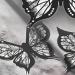 Butterfly Stencil For Eyeliner Butterfly Makeup Stencil Butterfly Eyeliner Stamp Winged Eyeliner Tool Reusable And Flexible Eyeliner Stamp - Buy Online on GoSupps.com