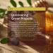 ApisBrasil - Brazilian Green Bee Propolis Liquid Extract (30ml) - Natural Immune Support - Antioxidant - Pack of 1 - Buy Online on GoSupps.com