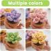 4Pcs Succulents Crochet Kit for Beginners - Complete Adult Crocheting Starter Set with Video Tutorials - Buy Online on GoSupps.com