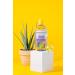 Dickinson's Micellar Witch Hazel Makeup Remover - Gentle Cleansing Solution - Buy Online on GoSupps.com