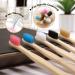 Bamboo Toothbrush 10 Pack | Eco-Friendly Biodegradable Soft Bristles in 5 Colors | Natural Family Use - Buy Online on GoSupps.com