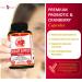 Potent Garden Urinary Support Supplements - Bladder & Urinary Tract Health for Women & Men - 60 Ct - Cranberry, Probiotics, Prebiotics - Daily Care - Buy Online on GoSupps.com
