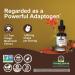 Nature's Answer Chaga Mushroom Extract Alcohol Free 1 fl oz (30 ml) - Buy Online on GoSupps.com