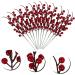 HOMSFOU 48 Pcs Artificial Red Berry Stem Xmas Winter Twig Red Berry Branch Red Berry Decor Red Berry Stems Artificial Branches Flower Arrangement Decorations Small Fruit Christmas Pvc - Buy Online on GoSupps.com