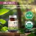 PureAyurbliss 100% Organic Amla Tablets Ayurvedic for Digestive Health Gut Balance and Immune Support Vegan Non-GMO Amla Capsules for Daily Vitality Skin Wellness & Natural Nutrition - 90 Count - Buy Online on GoSupps.com