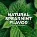 Tom's of Maine Whole Care Natural Fluoride Toothpaste - Spearmint 4 oz, 3-Pack - Buy Online on GoSupps.com
