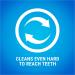 DENTALIFE Small Dog Treat Dental Chew 54 Stick - Buy Online on GoSupps.com