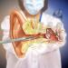 Fiber Optic Mini Otoscope Ear Tool with Replaceable LED Light - Home Use for Ear Health - Buy Online on GoSupps.com