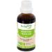 HERBALGEM - Mother Macerate - Organic Hazel - Food Supplement Gemmotherapy Concentrated - Fresh Bud Extract - For Airways - Vegan - 30 ml - Buy Online on GoSupps.com
