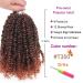 ZRQ Short 8 Packs Pre-twisted Bob Passion Twist Crochet Hair 12 Ombre Copper Red T350# - 12 Roots/Pack Synthetic Braids - Buy Online on GoSupps.com