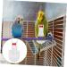 2Pcs Flying Bird Diapers for Pigeons | Flight Bird Clothing & Pet Accessories - Buy Online on GoSupps.com