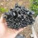 for Beautiful Black Quartz Crystal Cluster Specimen Natural Quartz Minerals Stone Specimen Crystal Cluster (Size : 1000-1100g) - Buy Online on GoSupps.com