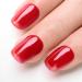 Imtiti Jelly UV Gel Nail Polish 15 ml Jelly Red Transparent Gel Nail Polish UV LED Soak Off Nail for Autumn and Winter - Buy Online on GoSupps.com