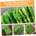 HOMSFOU 50 Pcs Simulated Asparagus Ornaments Fake Vegetables Asparagus Decor Fake Plastic Lifelike Vegetables Faux Asparagus Fern Plastic Vegetables Model Fake Food Model Sample Pvc Plant Light Greenx5pcs 19X0.9CMx5pcs - Buy Online on GoSupps.com