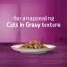 WHISKAS Perfect Portions Wet Cat Food Cuts in Gravy - Chicken - 75g (24 Pack) Cuts in Gravy Chicken 75 g (Pack of 24) - Buy Online on GoSupps.com