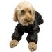 Trouser Suit Waterproof Dog Rain Coat Onesie Black (18 inch) - Buy Online on GoSupps.com
