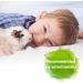 Bactador Rodent Cage Odour Remover Spray 500ml - Microbiological Enzyme Cleaner for Rodent Environments - Eliminates Faeces, Urine, and Animal Odours - Buy Online on GoSupps.com