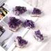 Natural Stone Natural Raw Amethyst Cluster Quartz Purple Crystal Cluster Stone Home Decoration Crafts Decoration Ornament Home Goods (Color : Amethyst Cluster Size : 40 50g) 40 50g Amethyst Cluster - Buy Online on GoSupps.com