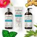 CURLSMITH Clarifying Wash Day Bundle: Pre-Biotic Primer, Wash & Scrub Detox with Pro-Biotic Conditioner - Buy Online on GoSupps.com