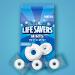 LIFE SAVERS Pep-O-Mint Breath Mint Bulk Hard Candy Party Size 44.93 oz Bag - NEW PACK | Buy Online Now - Buy Online on GoSupps.com